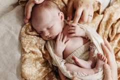 A newborn baby sleeps curled in the womb pose at a studio in Rockhampton.
