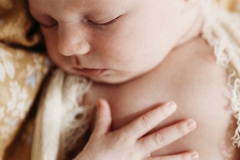 Studio-newborn-session-Rockhampton22