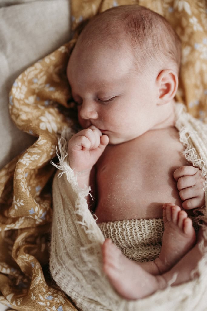 A newborn baby lays in a photography studio asleep.